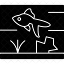 Animal  Icon