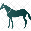 Animal  Icon