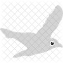 Animal  Icon