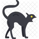 Animal Black Cat Icon