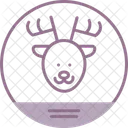Animal  Icon