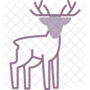 Animal  Icon