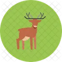 Animal  Ícone