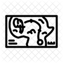 Animal Migration Paths Icon