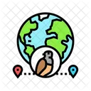 Animal Migration Paths Icon