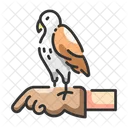 Animal Training Animal Owl Icon