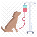Animal Treatment  Icon