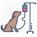 Animal Treatment  Icon