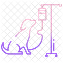 Animal Treatment  Icon