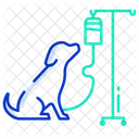 Animal Treatment  Icon