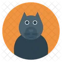 Animale Avatar Gatto Icon