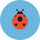 Animals Insect Bug Icon