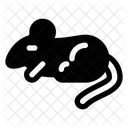 Animals  Icon