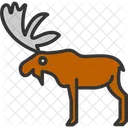 Animals Bull Moose Elk Icon