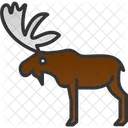 Animals Bull Moose Elk Icon