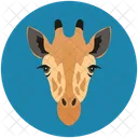 Animals Camelopard Giraffa Icon