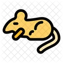 Animals Rodent Mouse Icon