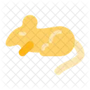 Animals Rodent Mouse Icon