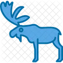 Animals  Icon