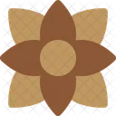 Anise Spice Ingredient Icon