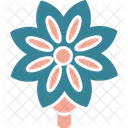 Anise Spice Star Icon