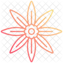 Anise  Icon