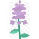 Anise Hyssop Flower Icon