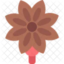 Anise Spice Star Icon