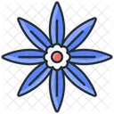 Anise  Icon
