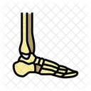 Ankle Bone  Icon