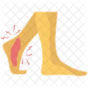 Ankle Injury  Icon