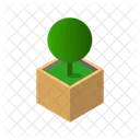 Pflanze Natur Blatt Icon