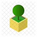 Pflanze Natur Blatt Icon