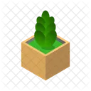 Pflanze Natur Blatt Icon
