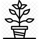 Pflanze Zimmerpflanze Aussenpflanze Symbol