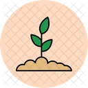 Anlage  Symbol