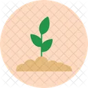 Anlage  Symbol