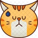 Annoyed Emoticon Cat Icon