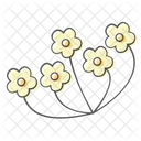 Anns Lace Flower Icon