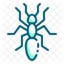 Ant Icon