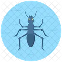 Ant Beetle Flea Icon