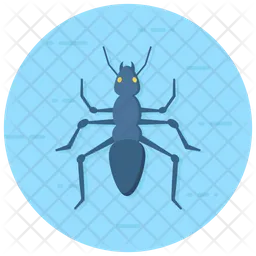 Ant  Icon