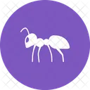 Ant Ii Animal Icon