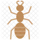 Ant Pest Insect Icon