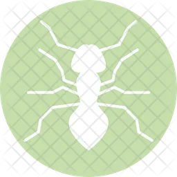 Ant  Icon