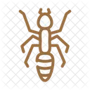 Ant  Icon
