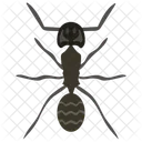 개미 도릴루스 곤충 아이콘