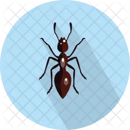 Ant  Icon