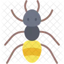 Ant Mammal Animal Icon