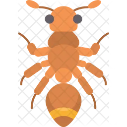 Ant  Icon